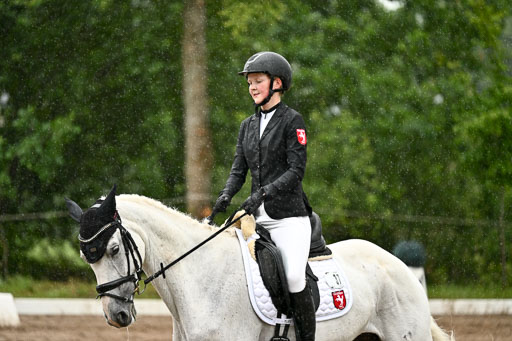 Goldene Schärpe Pferfde in Löningen 2026 | 12062026Dressur B _0234 
