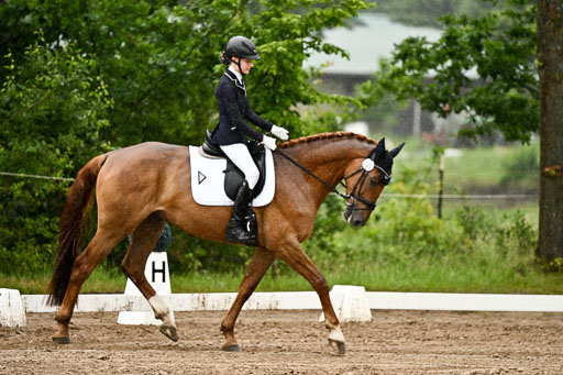 Goldene Schärpe Pferfde in Löningen 2026 | 12062026Dressur B _0237 