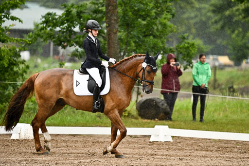 Goldene Schärpe Pferfde in Löningen 2026 | 12062026Dressur B _0238 