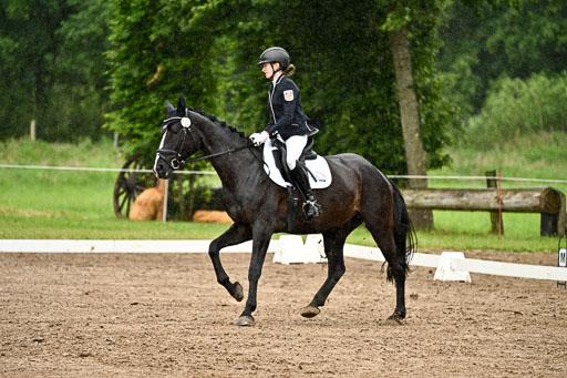 Goldene Schärpe Pferfde in Löningen 2026 | 12062026Dressur B _0239 