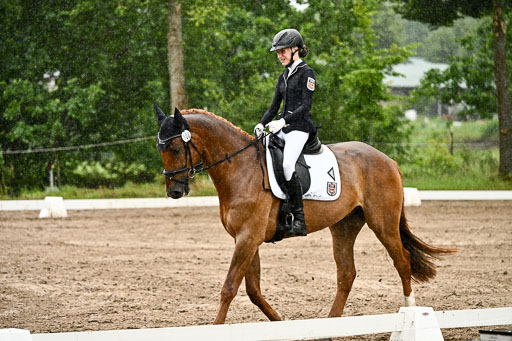 Goldene Schärpe Pferfde in Löningen 2026 | 12062026Dressur B _0240 