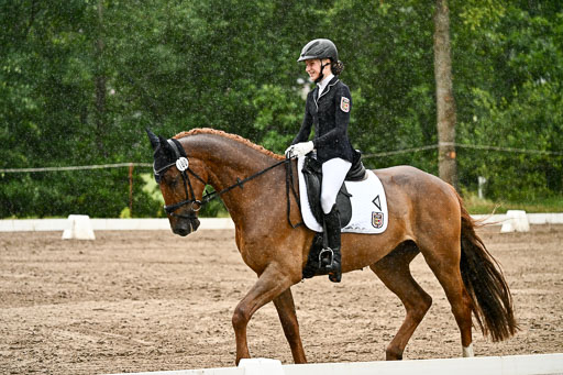 Goldene Schärpe Pferfde in Löningen 2026 | 12062026Dressur B _0241 