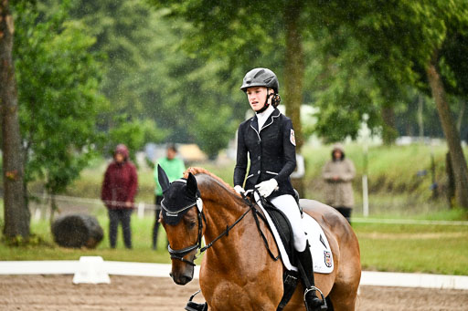 Goldene Schärpe Pferfde in Löningen 2026 | 12062026Dressur B _0244 
