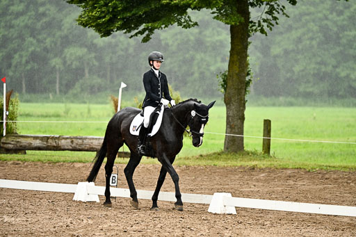 Goldene Schärpe Pferfde in Löningen 2026 | 12062026Dressur B _0246 