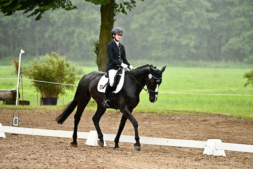 Goldene Schärpe Pferfde in Löningen 2026 | 12062026Dressur B _0247 