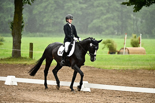 Goldene Schärpe Pferfde in Löningen 2026 | 12062026Dressur B _0248 
