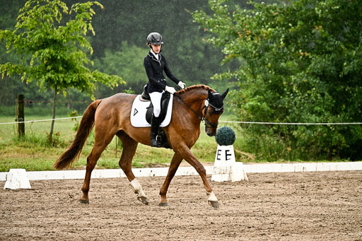 Goldene Schärpe Pferfde in Löningen 2026 | 12062026Dressur B _0249 