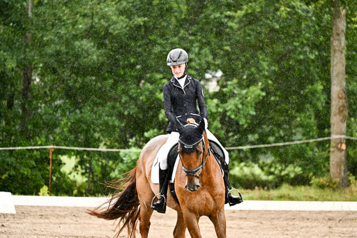 Goldene Schärpe Pferfde in Löningen 2026 | 12062026Dressur B _0251 