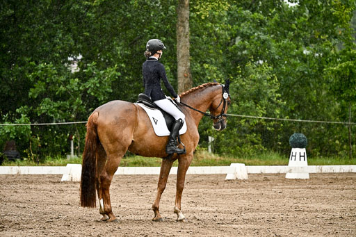 Goldene Schärpe Pferfde in Löningen 2026 | 12062026Dressur B _0252 