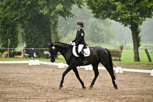 Goldene Schärpe Pferfde in Löningen 2026 | 12062026Dressur B _0253 