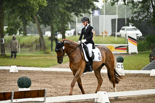 Goldene Schärpe Pferfde in Löningen 2026 | 12062026Dressur B _0255 