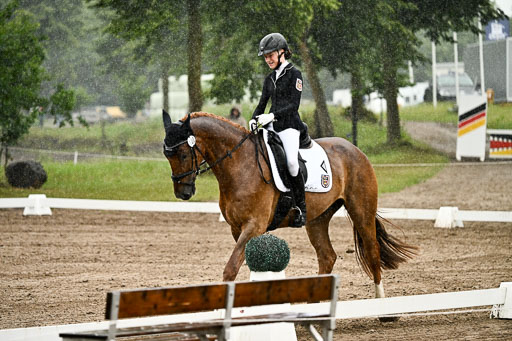 12062026Dressur-B-_0256.jpg