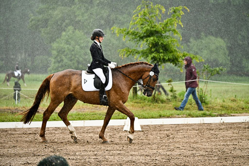 Goldene Schärpe Pferfde in Löningen 2026 | 12062026Dressur B _0257 