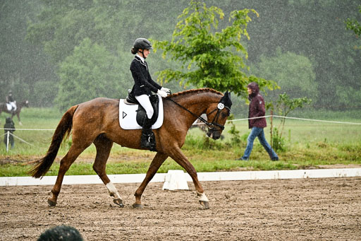 Goldene Schärpe Pferfde in Löningen 2026 | 12062026Dressur B _0258 