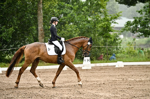 Goldene Schärpe Pferfde in Löningen 2026 | 12062026Dressur B _0259 