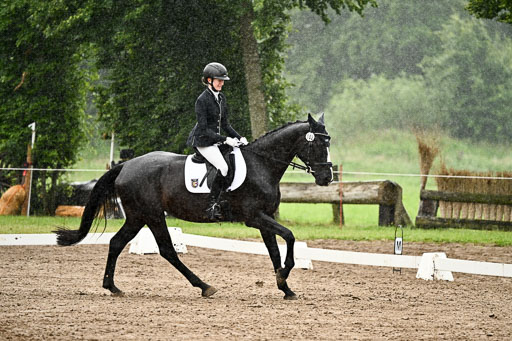 Goldene Schärpe Pferfde in Löningen 2026 | 12062026Dressur B _0264 