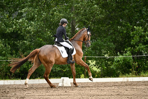 Goldene Schärpe Pferfde in Löningen 2026 | 12062026Dressur B _0268 