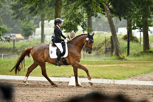 Goldene Schärpe Pferfde in Löningen 2026 | 12062026Dressur B _0269 