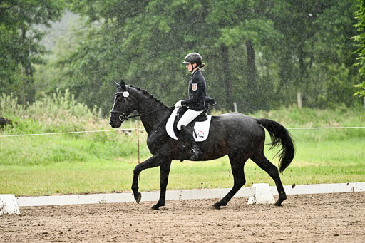 Goldene Schärpe Pferfde in Löningen 2026 | 12062026Dressur B _0270 