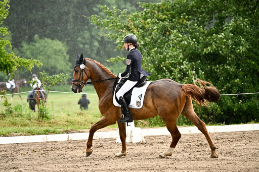 Goldene Schärpe Pferfde in Löningen 2026 | 12062026Dressur B _0271 