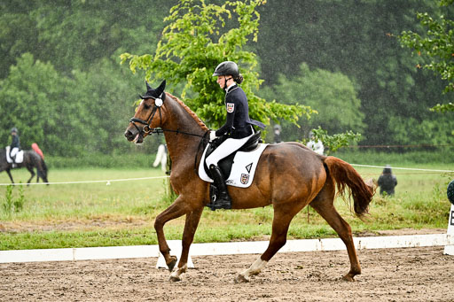 Goldene Schärpe Pferfde in Löningen 2026 | 12062026Dressur B _0272 