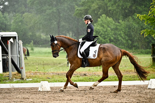 Goldene Schärpe Pferfde in Löningen 2026 | 12062026Dressur B _0273 
