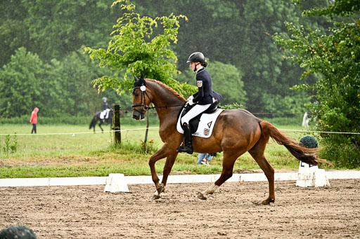 12062026Dressur-B-_0274.jpg