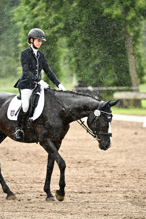Goldene Schärpe Pferfde in Löningen 2026 | 12062026Dressur B _0276 