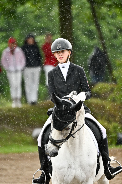 Goldene Schärpe Pferfde in Löningen 2026 | 12062026Dressur B _0278 