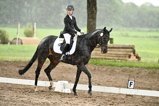 Goldene Schärpe Pferfde in Löningen 2026 | 12062026Dressur B _0281 