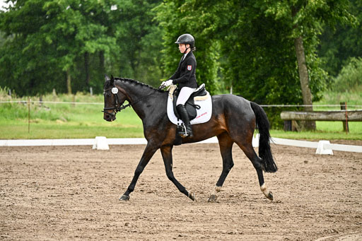 Goldene Schärpe Pferfde in Löningen 2026 | 12062026Dressur B _0287 