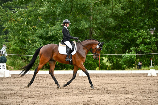 Goldene Schärpe Pferfde in Löningen 2026 | 12062026Dressur B _0290 