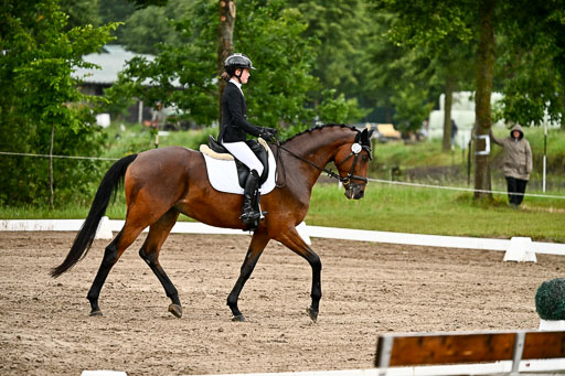 Goldene Schärpe Pferfde in Löningen 2026 | 12062026Dressur B _0293 
