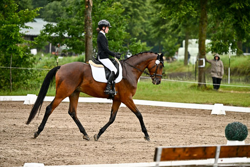Goldene Schärpe Pferfde in Löningen 2026 | 12062026Dressur B _0294 