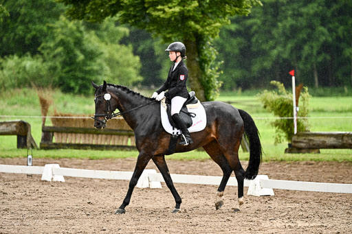 Goldene Schärpe Pferfde in Löningen 2026 | 12062026Dressur B _0295 