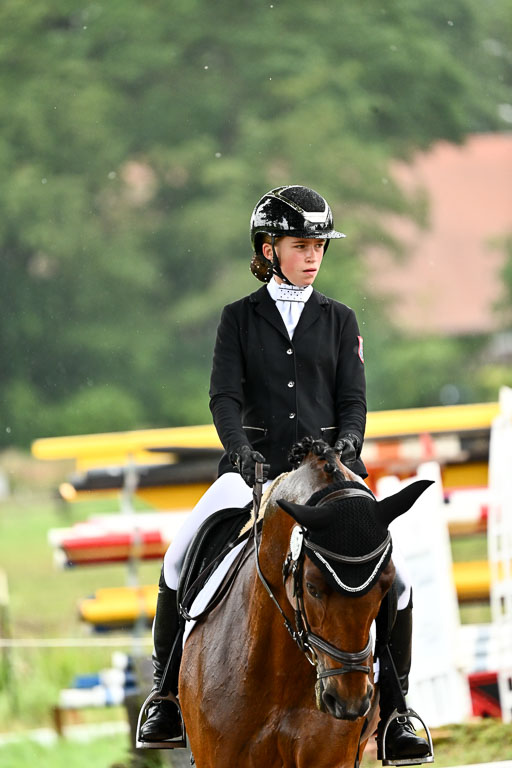 Goldene Schärpe Pferfde in Löningen 2026 | 12062026Dressur B _0296 