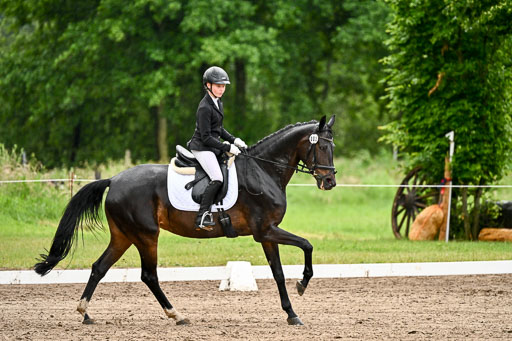 Goldene Schärpe Pferfde in Löningen 2026 | 12062026Dressur B _0297 