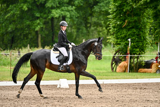 Goldene Schärpe Pferfde in Löningen 2026 | 12062026Dressur B _0298 