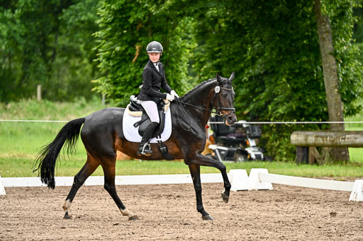 Goldene Schärpe Pferfde in Löningen 2026 | 12062026Dressur B _0300 