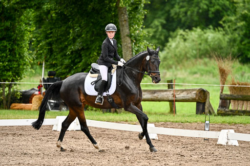 Goldene Schärpe Pferfde in Löningen 2026 | 12062026Dressur B _0301 