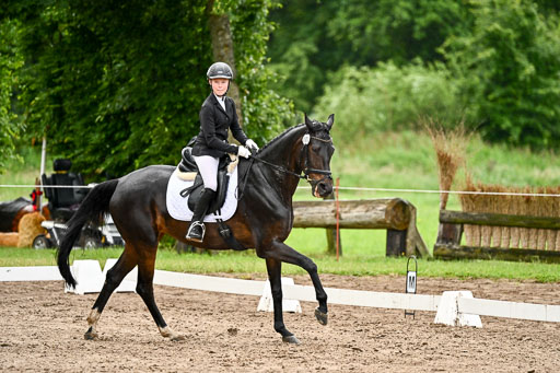 Goldene Schärpe Pferfde in Löningen 2026 | 12062026Dressur B _0302 