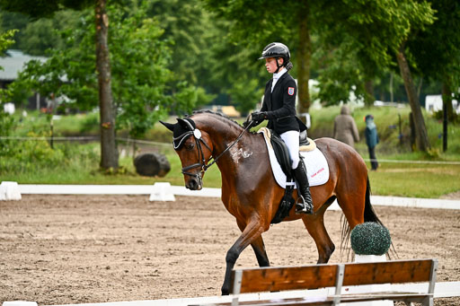 Goldene Schärpe Pferfde in Löningen 2026 | 12062026Dressur B _0305 