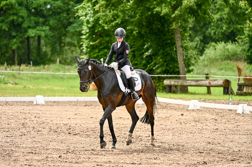 Goldene Schärpe Pferfde in Löningen 2026 | 12062026Dressur B _0306 