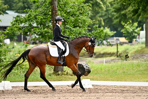 Goldene Schärpe Pferfde in Löningen 2026 | 12062026Dressur B _0308 