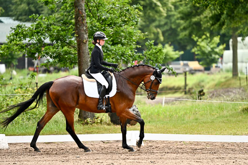 Goldene Schärpe Pferfde in Löningen 2026 | 12062026Dressur B _0309 