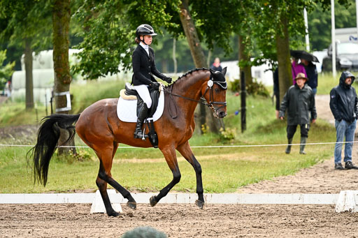 Goldene Schärpe Pferfde in Löningen 2026 | 12062026Dressur B _0310 