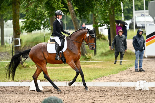 Goldene Schärpe Pferfde in Löningen 2026 | 12062026Dressur B _0311 