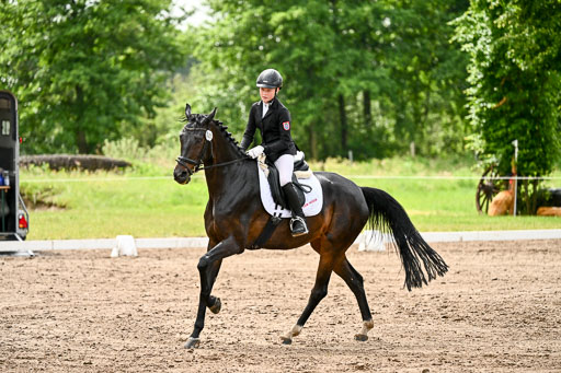 Goldene Schärpe Pferfde in Löningen 2026 | 12062026Dressur B _0312 