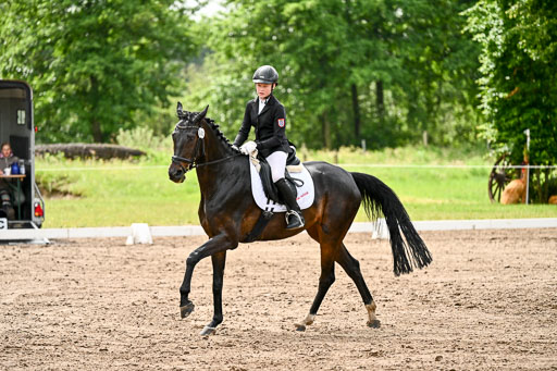 Goldene Schärpe Pferfde in Löningen 2026 | 12062026Dressur B _0313 