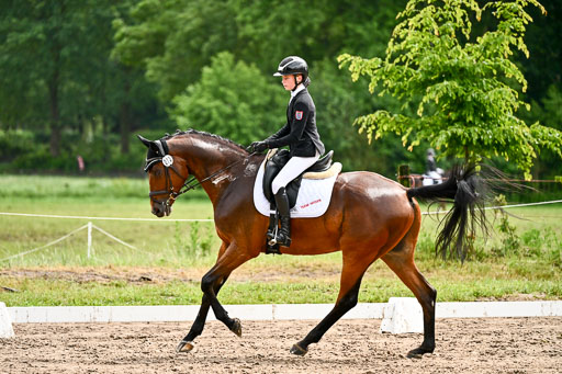 Goldene Schärpe Pferfde in Löningen 2026 | 12062026Dressur B _0315 